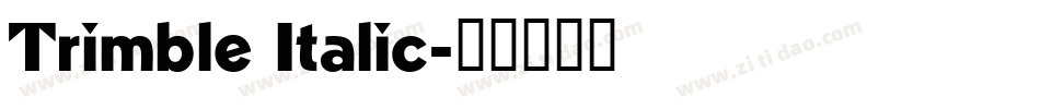 Trimble Italic字体转换
